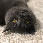 @rick_tomsk - Instagram