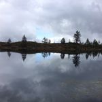 rick tomson - @rick_tomson - Instagram
