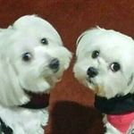 Rick Trejo - @ricktrejo808hawaii - Instagram