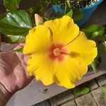 Rick Tull - @cincyrick00 - Instagram