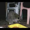 ricktully133 - @ricktully133 - TikTok