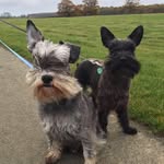Richard Tyrrell - @rjtyrrell - Instagram