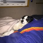 Rick Vale - @rick.vale - Instagram