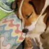 Rick Wagers - @rick.wagers2 - TikTok