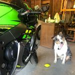 Rick Walton - @rick.bme.walton - Instagram