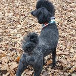 Rick Watson - @rick.watson.986 - Instagram