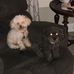 Rick Whittington - Facebook