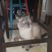 Rick Wiebe - Facebook