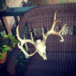 Rick Wilde - @rick.wilde.75 - Instagram