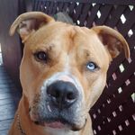 Rick Willard - @rick.willard.5268 - Instagram