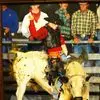 Ricky Wilhite - @rickywilhite8 - TikTok