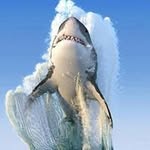 Rick Willson - @willson_rick - Instagram