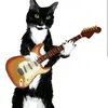 Rick Menezes - @rickwinchester1 - TikTok