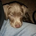 Rick Wing - @rwbuckster - Instagram