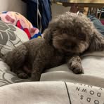 Rick Wing - Facebook