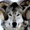 Rick Wolfram - @rickwolfram1 - TikTok