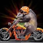 Ricky Womble - @womblericky - Instagram