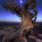 Rick Worthington - @coyotemash - Instagram