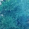Rick Yu - @dshyb1561 - TikTok