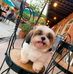 Rick Yu - Facebook