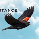 Rick Barnett - @drrickbarnett - Instagram