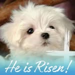 Rickey Barnett - @rickey.barnett.56 - Instagram