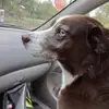Rickey Cooper - @rickey.cooper8 - TikTok