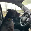Ricky Cooper - @ricky.cooper060 - TikTok