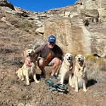 Rick Ellis - @rick.ellis_goldenlife - Instagram