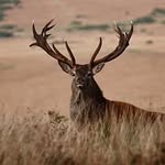 Rick Floyd - @richard.floyd.1481 - Instagram