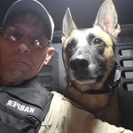 Rick Harper - @rick.harper - Instagram