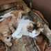 Rickey Hensley - Facebook