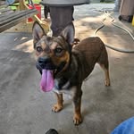 Rickey Hood - @rahood2207yahoo.com6 - Instagram