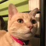 Rickey Murdock - @rickey_97 - Instagram