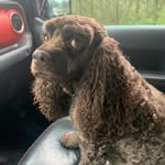 Rickey Murdock Jr - @rickeyjr1970 - Instagram