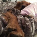 Rick Perry - @rickperry218 - Instagram