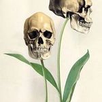 Rick Potts - @snickdots - Instagram