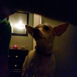 rickey sparks - @rickeysparks - Instagram