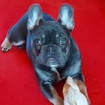 Ricky Sparks - @rickysparks1236 - Instagram