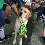 Rick Swift - @rickrowdies - Instagram