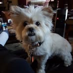Rickey Weaver - Facebook