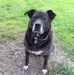 Rick Shaw - Facebook