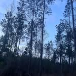 Ricky Marshall - @ricky.marshall.94 - Instagram