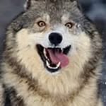 Rick Alford - @rickalford66 - Instagram