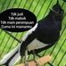 Ricky Ardiansyah - Facebook