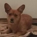 Ricky Arnaud - @rickyarnaudsrgmail.com_ - Instagram