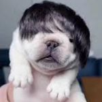 Ricky Arroyo - @monke_man1233 - Instagram