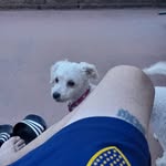 Ricky Arroyo - @rickyarroyo_100 - Instagram