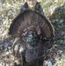 Rick Ash - Facebook