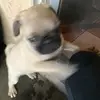 Ricky_ash - @ricky_ash - TikTok